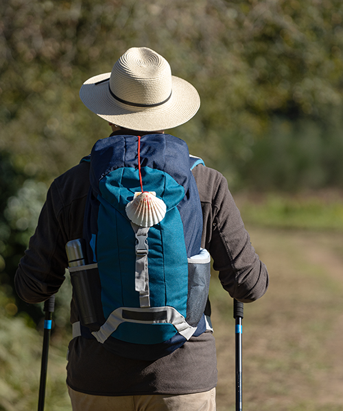 camino de santiago
